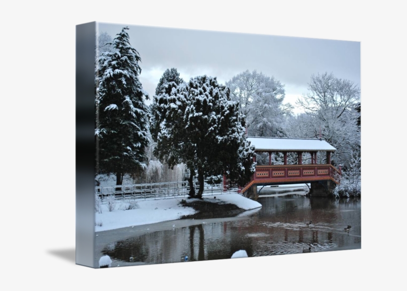 Snow Bridge Png - Tree, transparent png download
