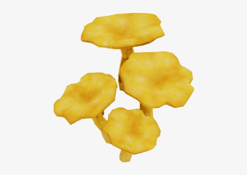 Chanterelle, transparent png download