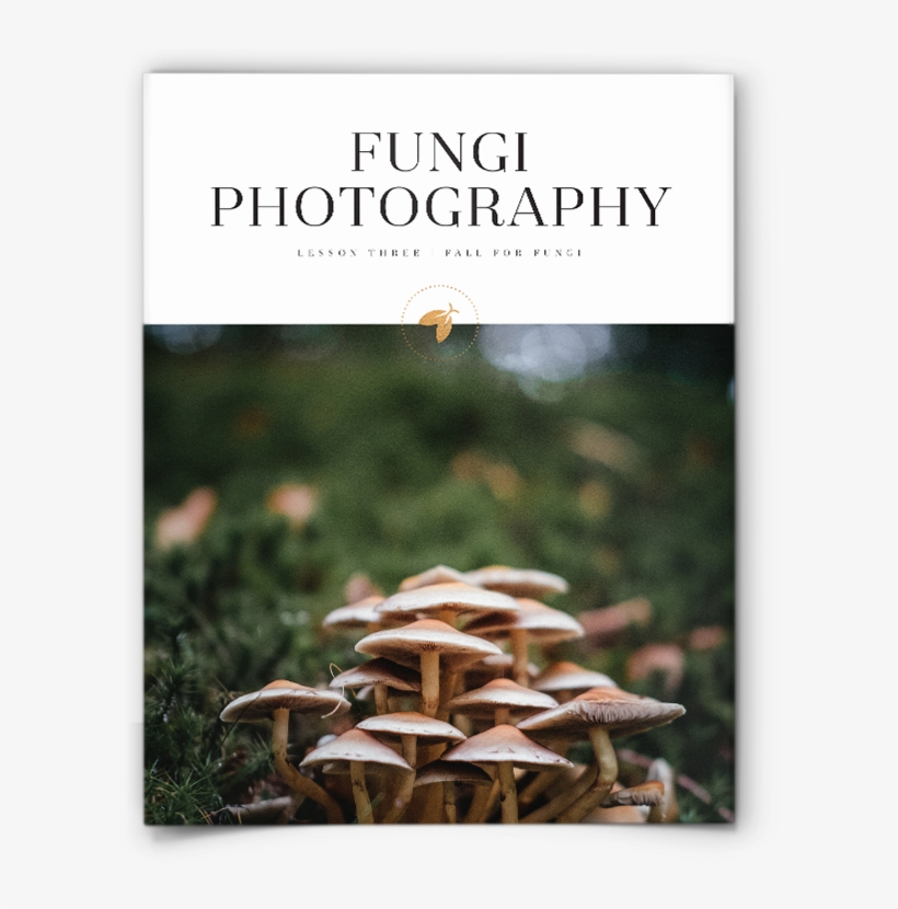 Cover Page Of Fungi Photography Lesson Plan - Mushroom, transparent png download