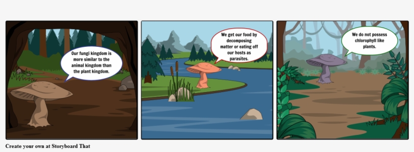 Fungi - Fungus, transparent png download