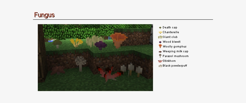 Fungus - Minecraft Fungus Mod, transparent png download