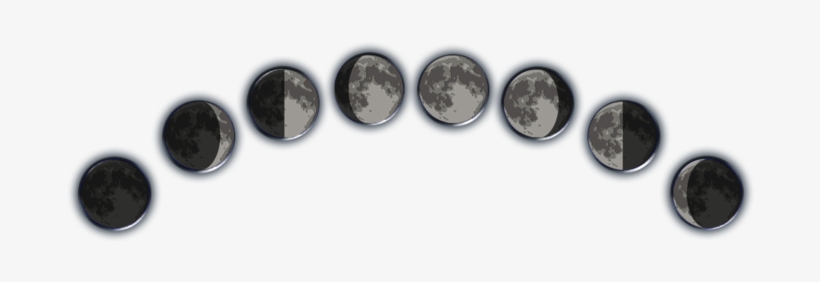 About - Cash, transparent png download