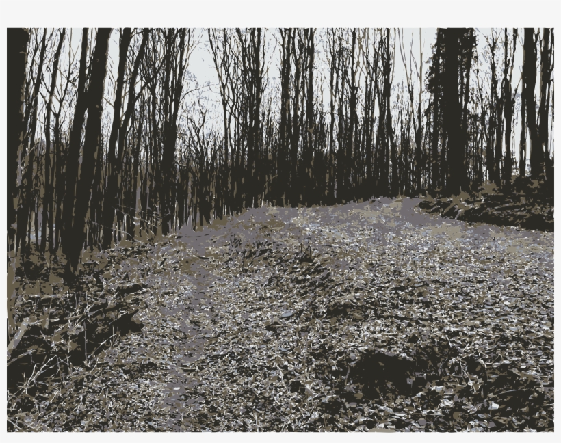 This Free Icons Png Design Of Forest Photo From Lichtscheid,, transparent png download