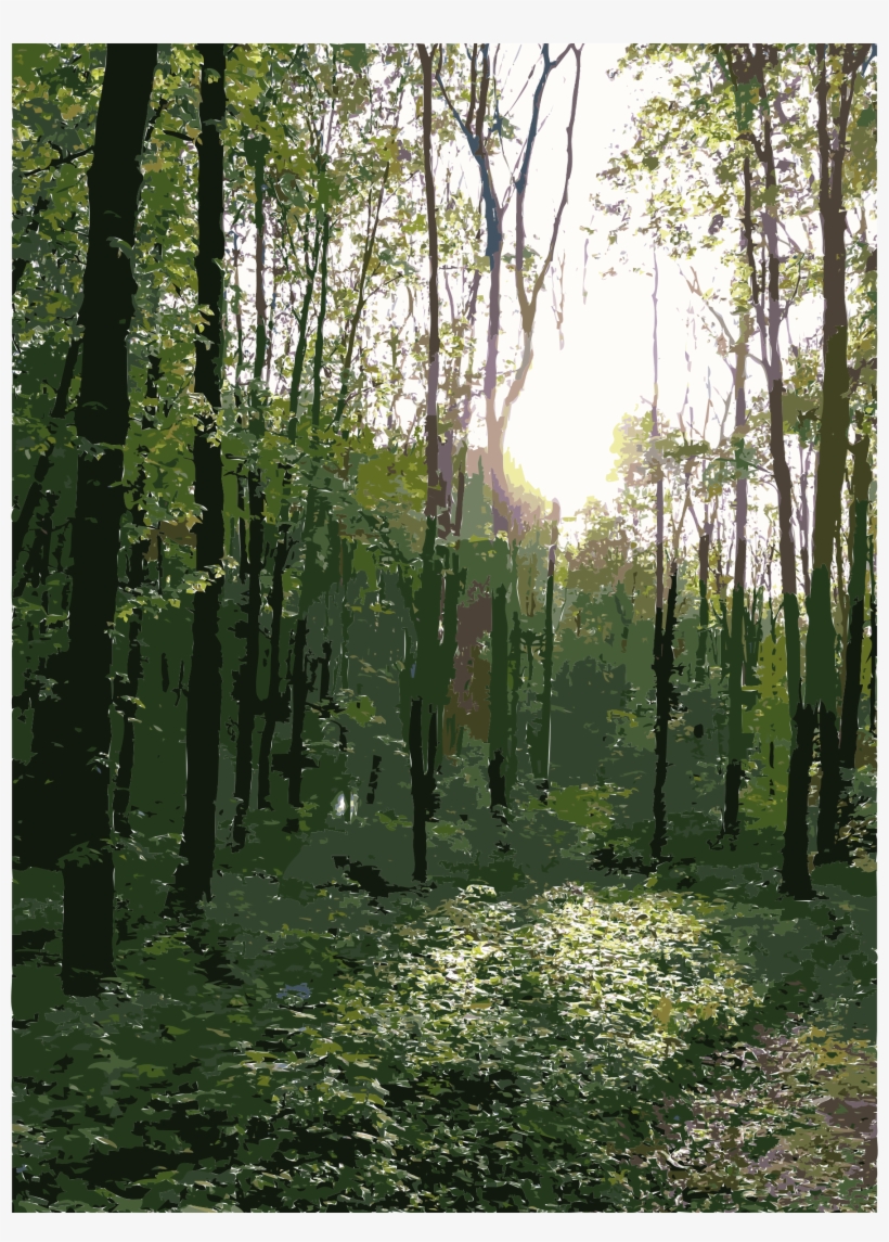 Big Image - Transparent Image Of Forest, transparent png download