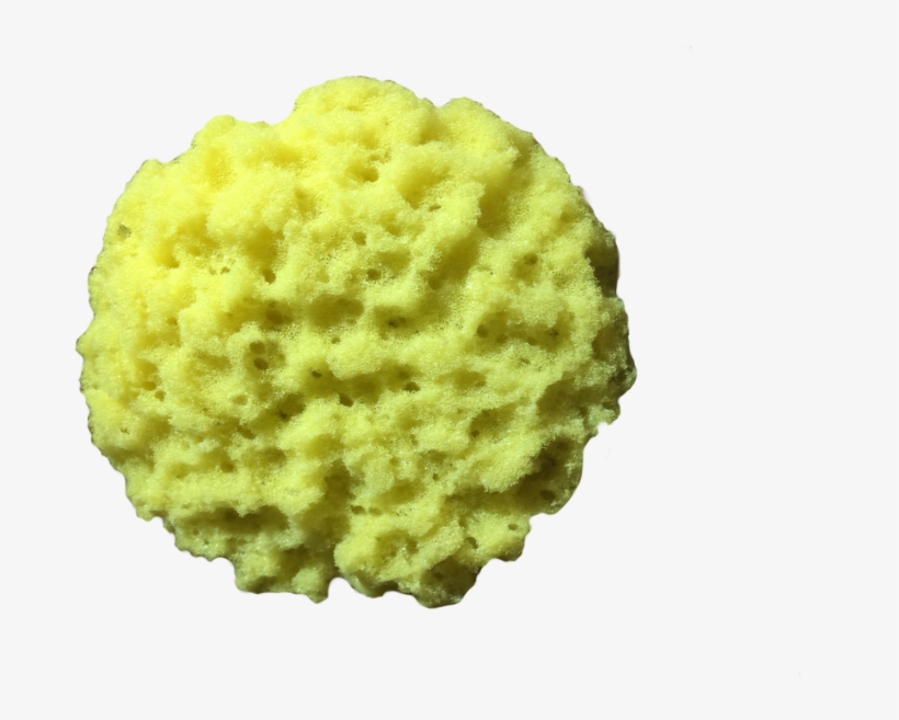 Knockdown Texture Sponge 2016 By Paul Peck - Ceiling, transparent png download