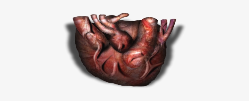 06 Feb 2009 - Gore Png, transparent png download