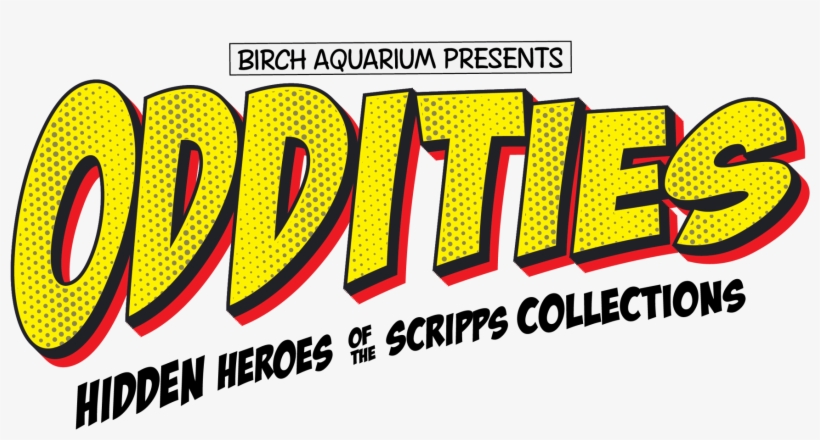 Oddities Logo Blacksubhead@2x - Birch Aquarium Oddities, transparent png download