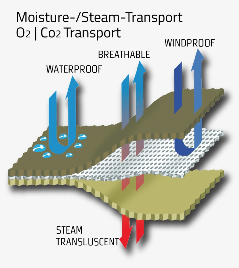 Gore-tex® - Gore Tex, transparent png download
