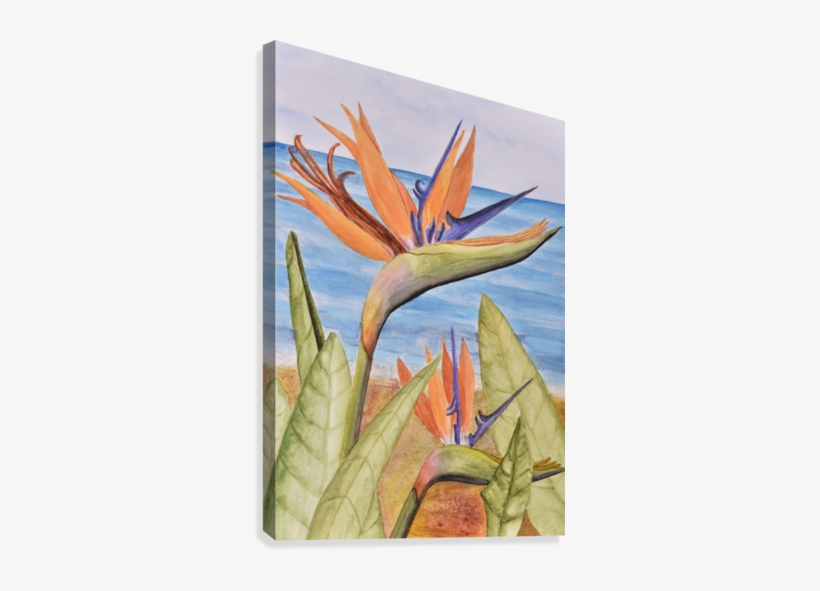 Bird Of Paradise - Paradiesvogel Gruß-karte Karte, transparent png download