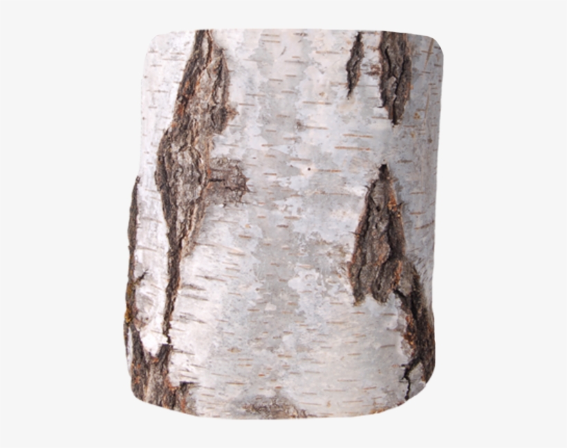 Birch Art - Nr - 1130 - - Hand, transparent png download