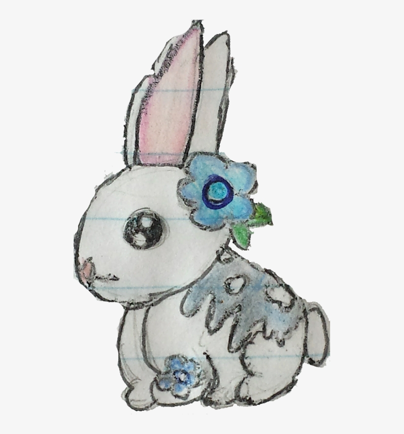 Domestic Rabbit, transparent png download