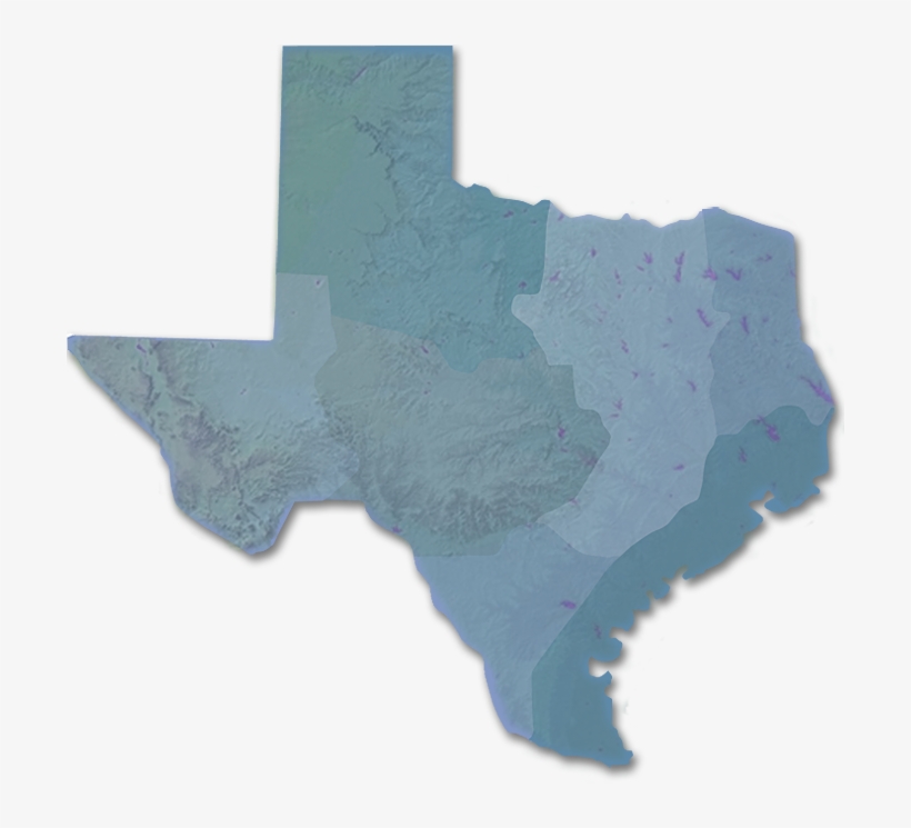 Texas Silhouette Vector, transparent png download