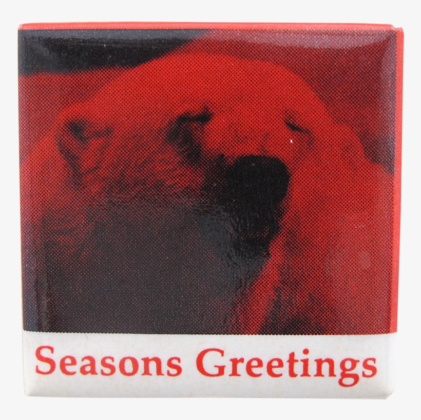 Seasons Greetings Polar Bear - Builders, transparent png download