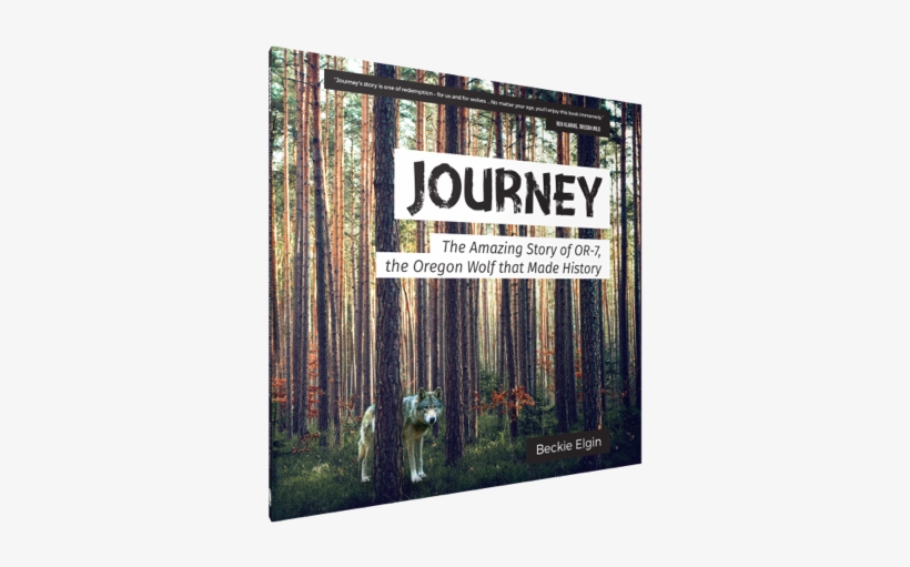 Journey Book Cover - Journey: The Amazing Story Of Or-7,, transparent png download