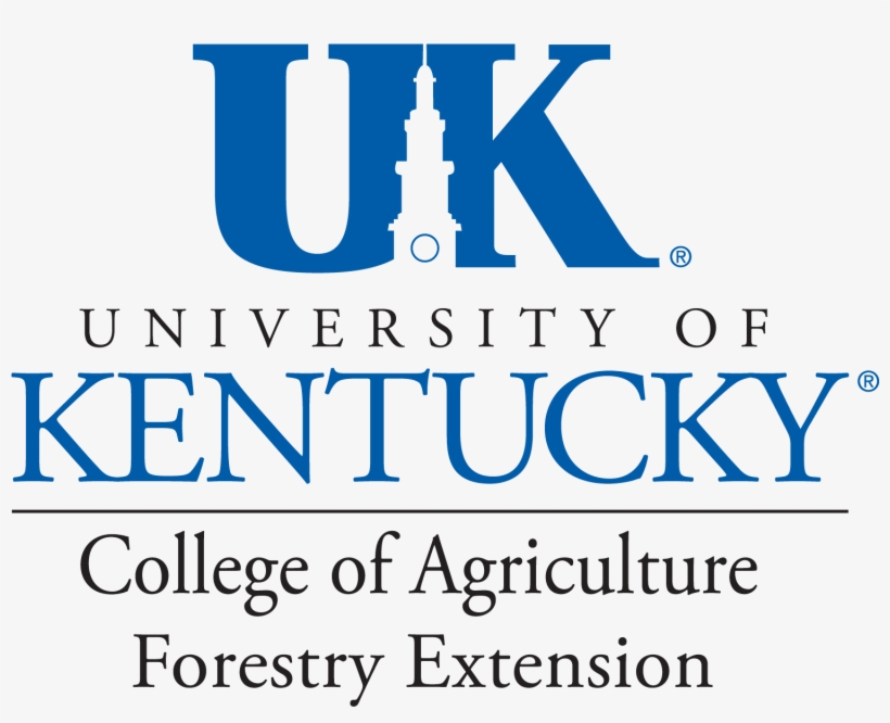 University Of Kentucky College Of Medicine, transparent png download