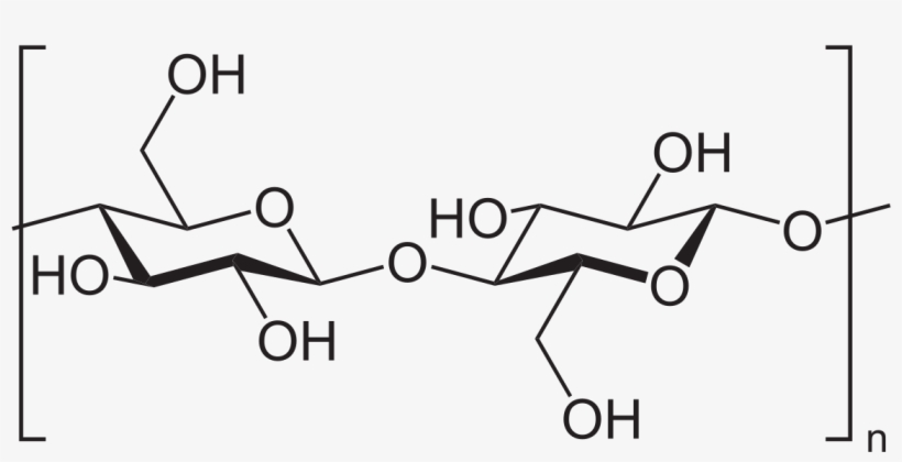Cellulose Structure Png Bacterial Cellulose Chemical Structure