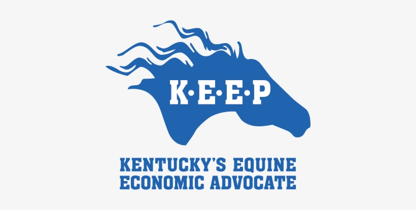 Kentucky Equine Education Project - Horse, transparent png download
