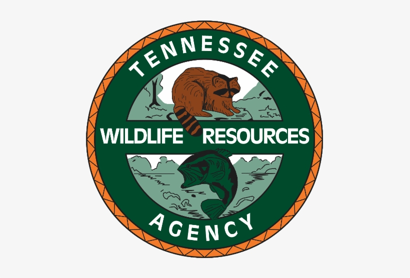 Crews Find Body Of Man After Boating Accident On Kentucky - Tennessee Wildlife Resources Agency Logo, transparent png download