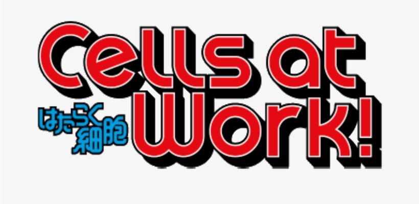 Cells At Work English Anime Visual 001 20180118 - Cells At Work! 5 By Akane Shimizu, transparent png download