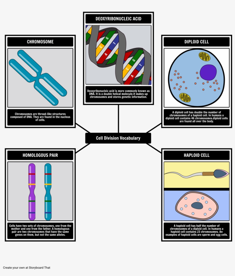 Vocabulary, transparent png download