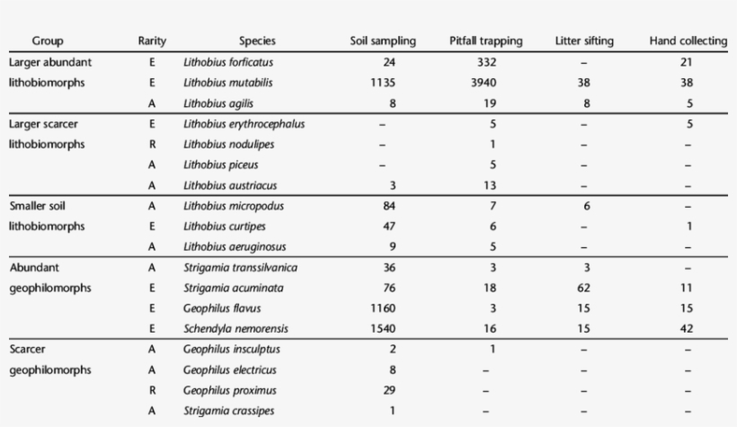 Main Groups Of Centipede Species According To Similar - Number, transparent png download