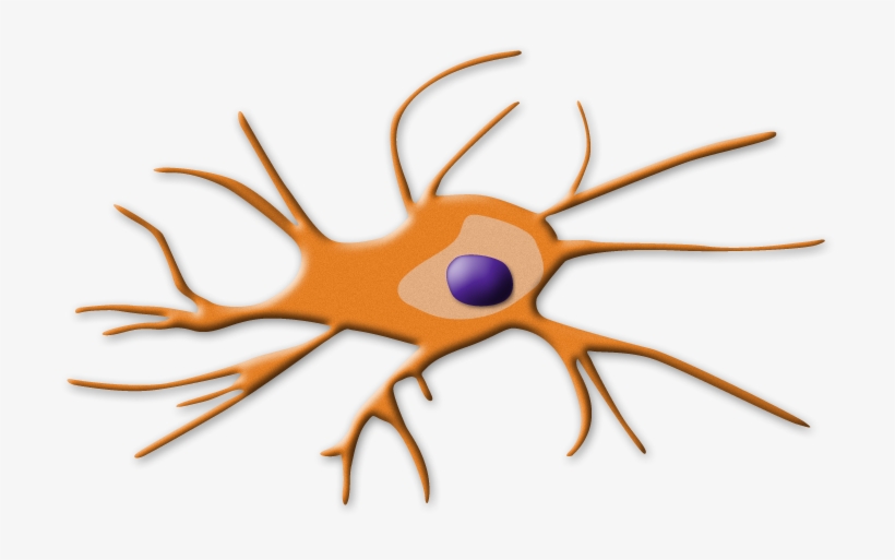 Dendritic Cells, transparent png download