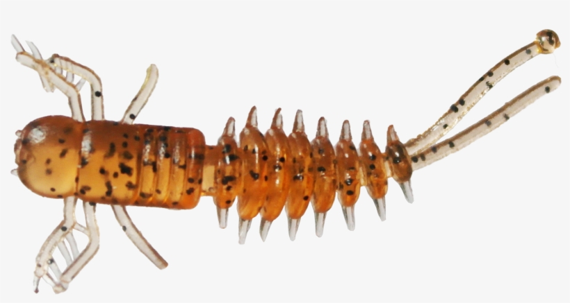 231455 - American Lobster, transparent png download