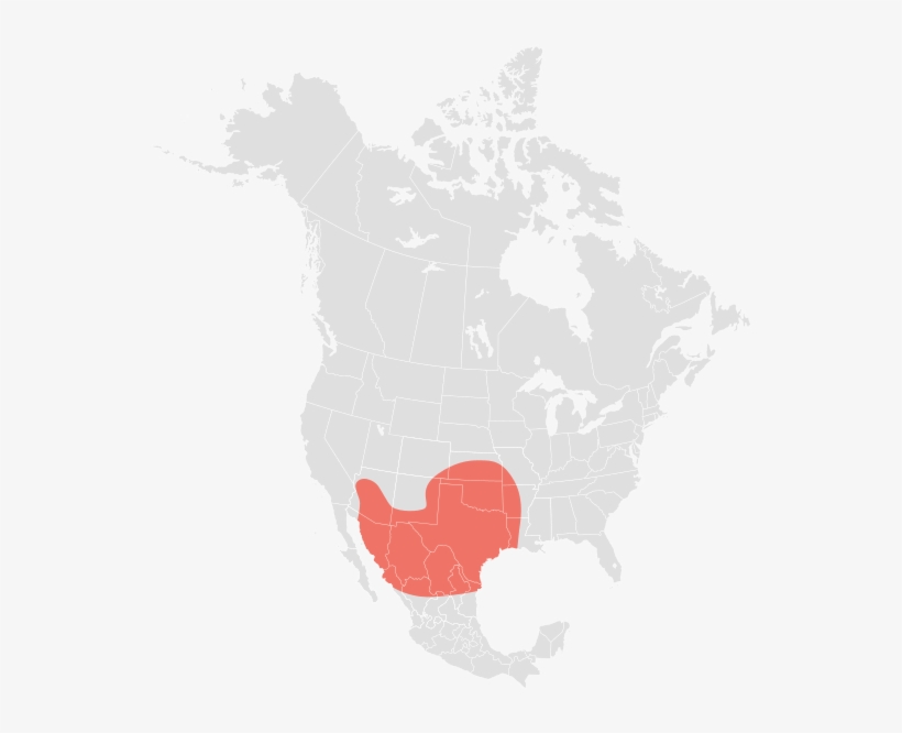 Power Military 2018 Infographic, transparent png download