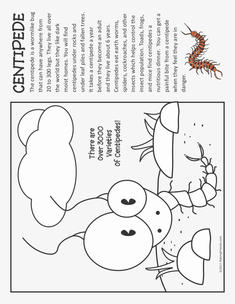 Bug Coloring Page - Girl Scouts Of The Usa, transparent png download