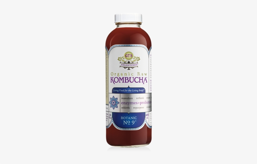 Gts Enlightened Organic Raw Kombucha - 16 Fl Oz Bottle, transparent png download
