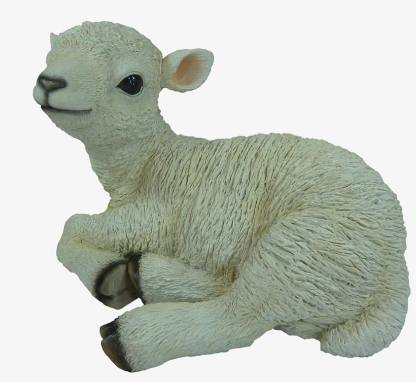 Download Amazing High-quality Latest Png Images Transparent - Vivid Arts Size-d Medium Real Life Sitting Lamb, transparent png download