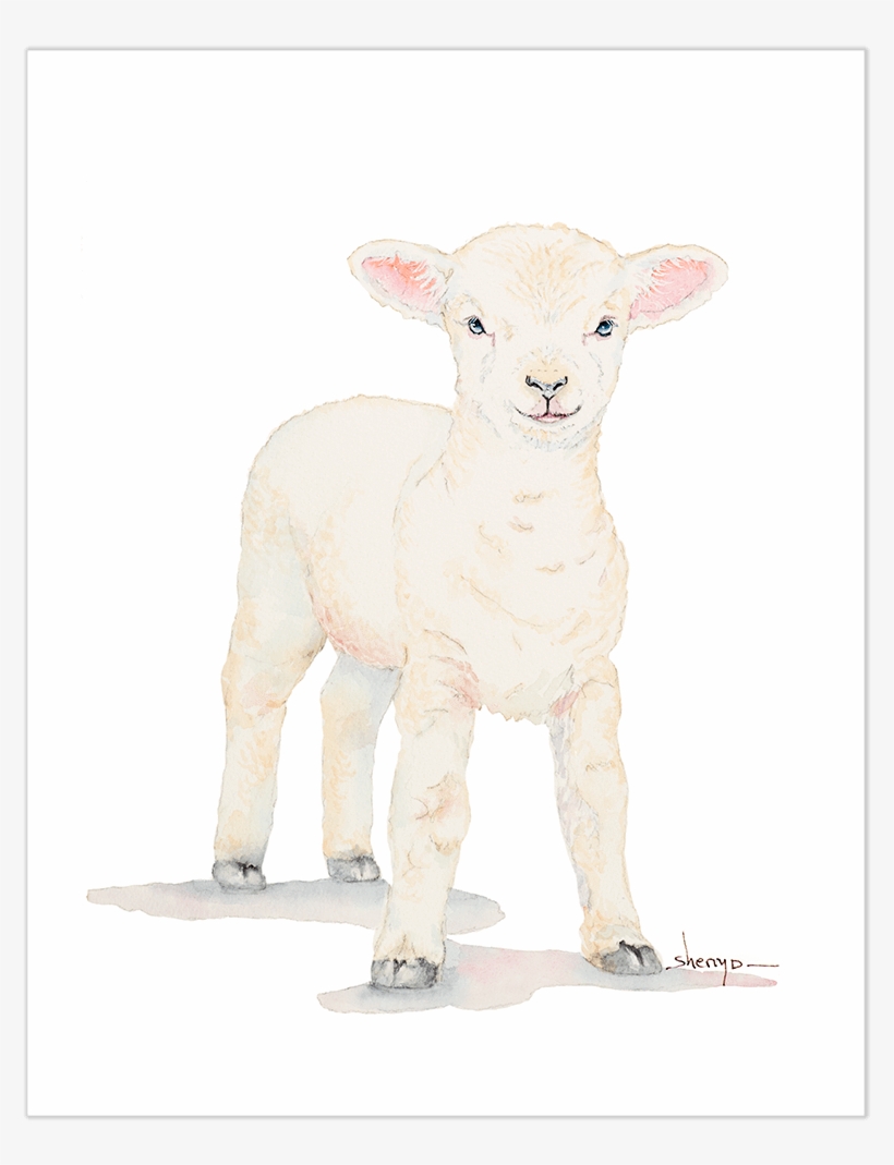 Baby Lamb Wall Art - Art, transparent png download