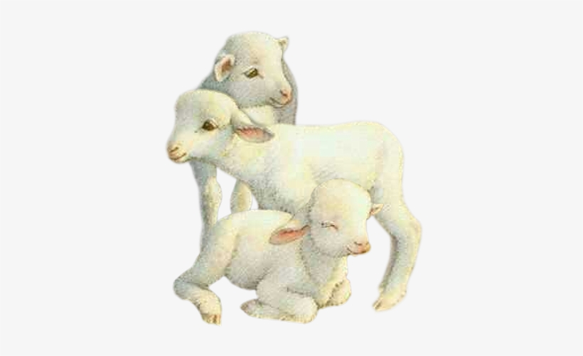 Http - //img7 - Hostingpics - Net/pics/536576tubes - Agnellini Gif, transparent png download