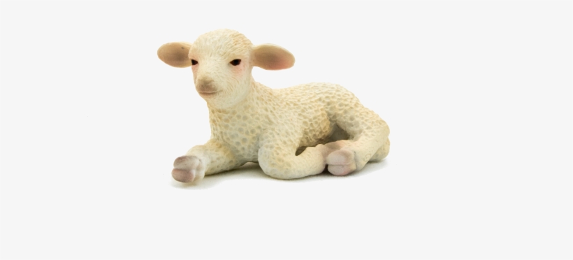 Lamb Lying Down Png, transparent png download