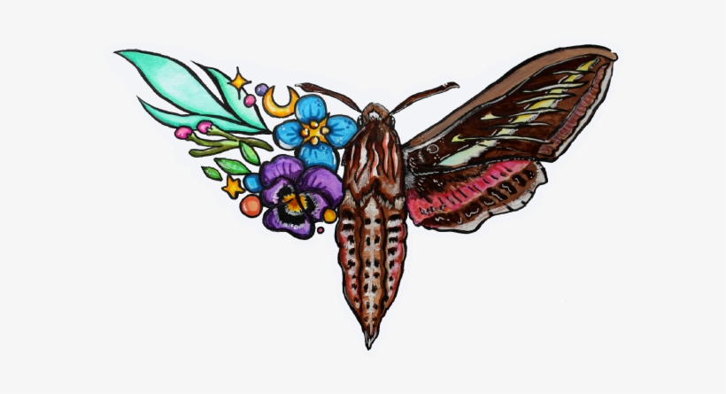 White-lined Sphinx Moth Sticker - Apatura Iris, transparent png download
