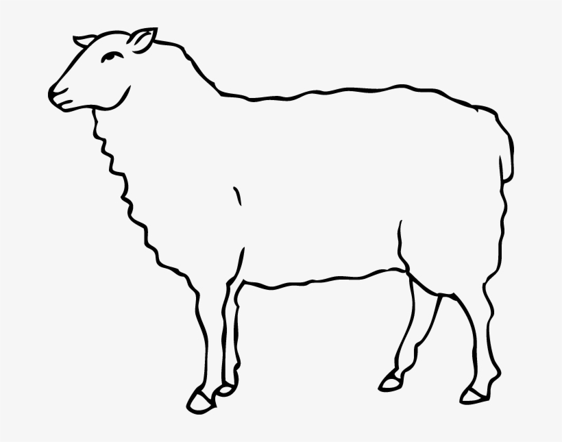 Lamb, transparent png download