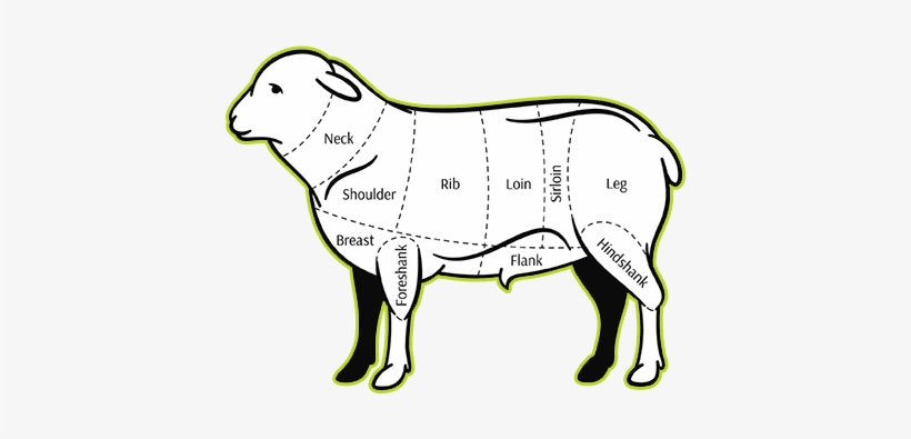 Koreo Lamb - Portable Network Graphics, transparent png download