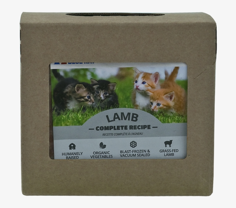 Lamb Complete For Cats - Guinea Pig, transparent png download
