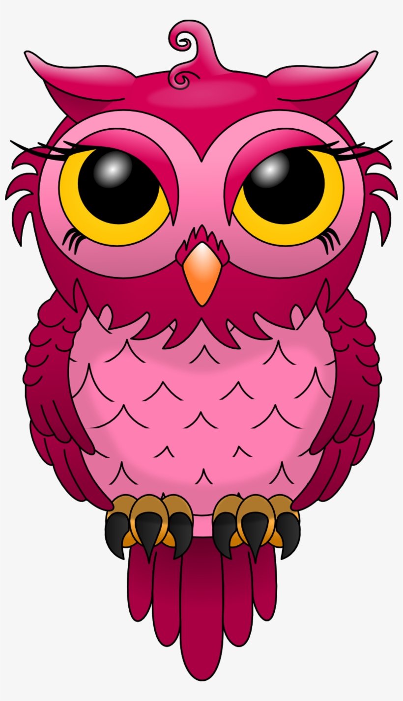Chouette Les Chouettes - Owl Png, transparent png download