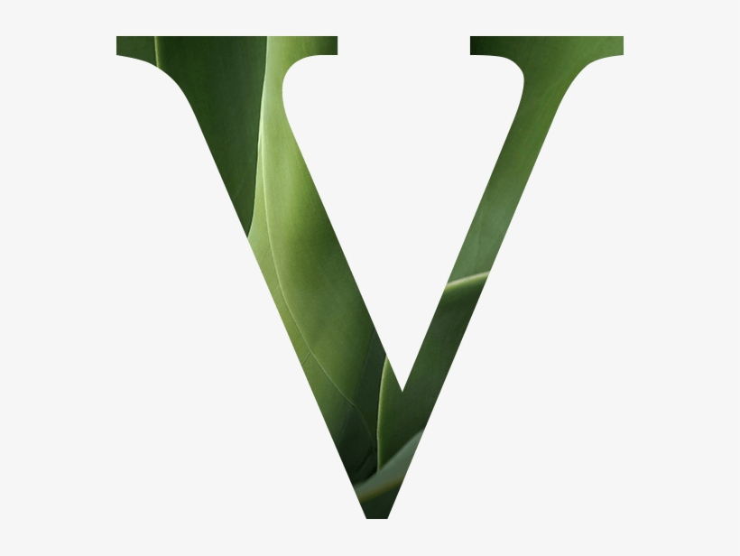 High Five Kids Club Activities From 13 To 19 November - Icon, transparent png download