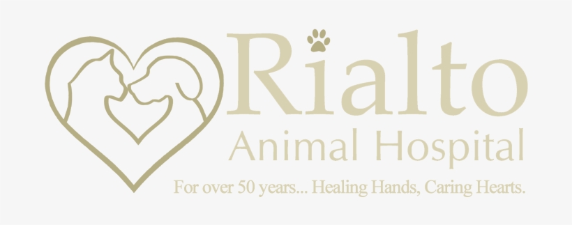 Animal Hospital, transparent png download