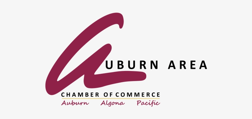 Business Insider Logo Png - Auburn, transparent png download