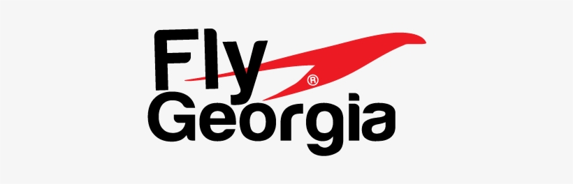 Airline Logo Design For A Company In Georgia - Logo, transparent png download