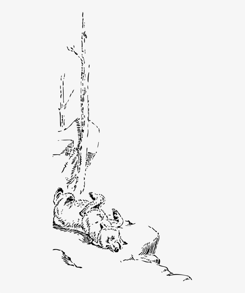 How To Set Use Lazy Bear Clipart, transparent png download