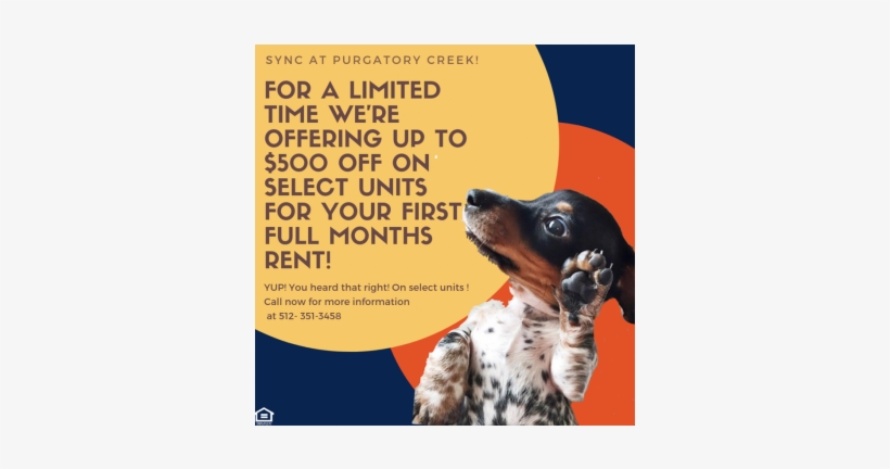 Sync At Purgatory Creek - Companion Dog, transparent png download