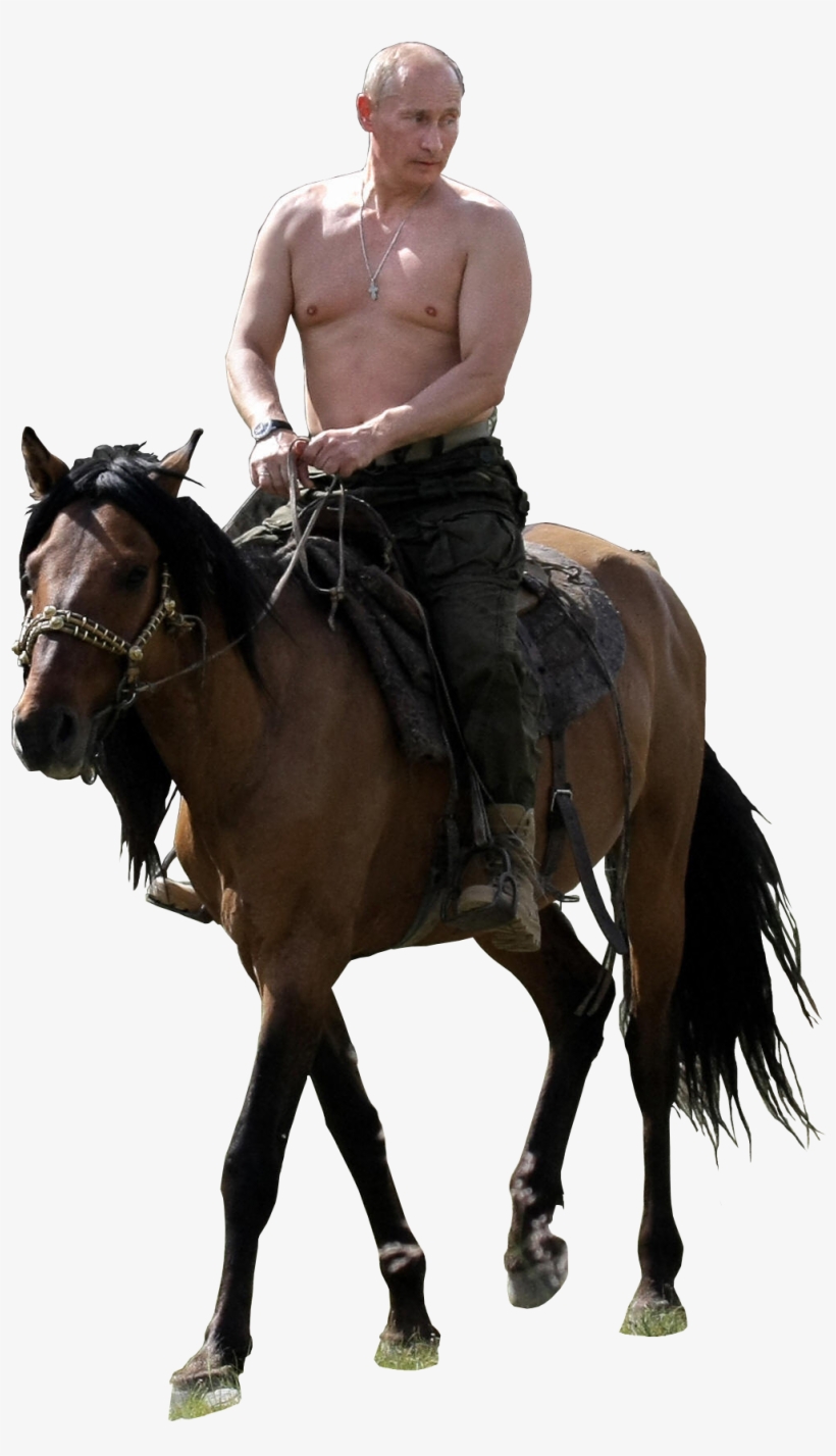 Putin Riding Png Clipart Black And White Stock - Sex, Politics, And Putin: Political Legitimacy In Russia, transparent png download