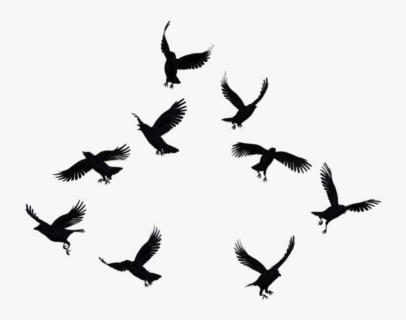 Share This Image - Free Psp 9 Brushes, transparent png download