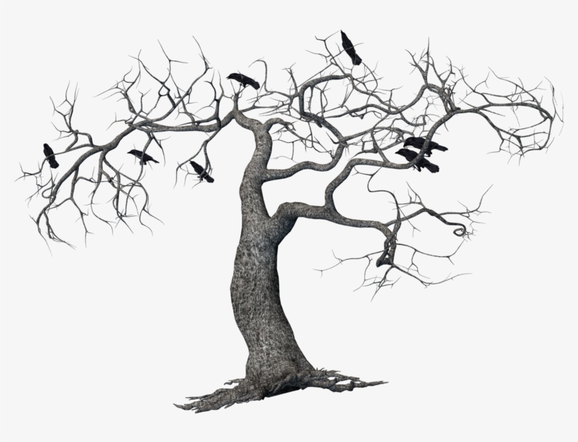 Share This Image - Tree, transparent png download