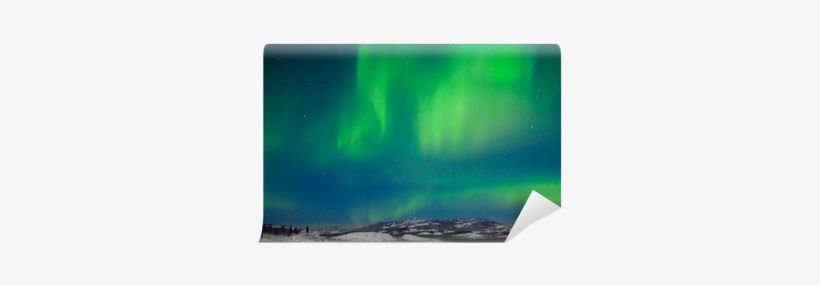 Northern Lights Wall Mural • Pixers® • We Live To Change - Aurora, transparent png download