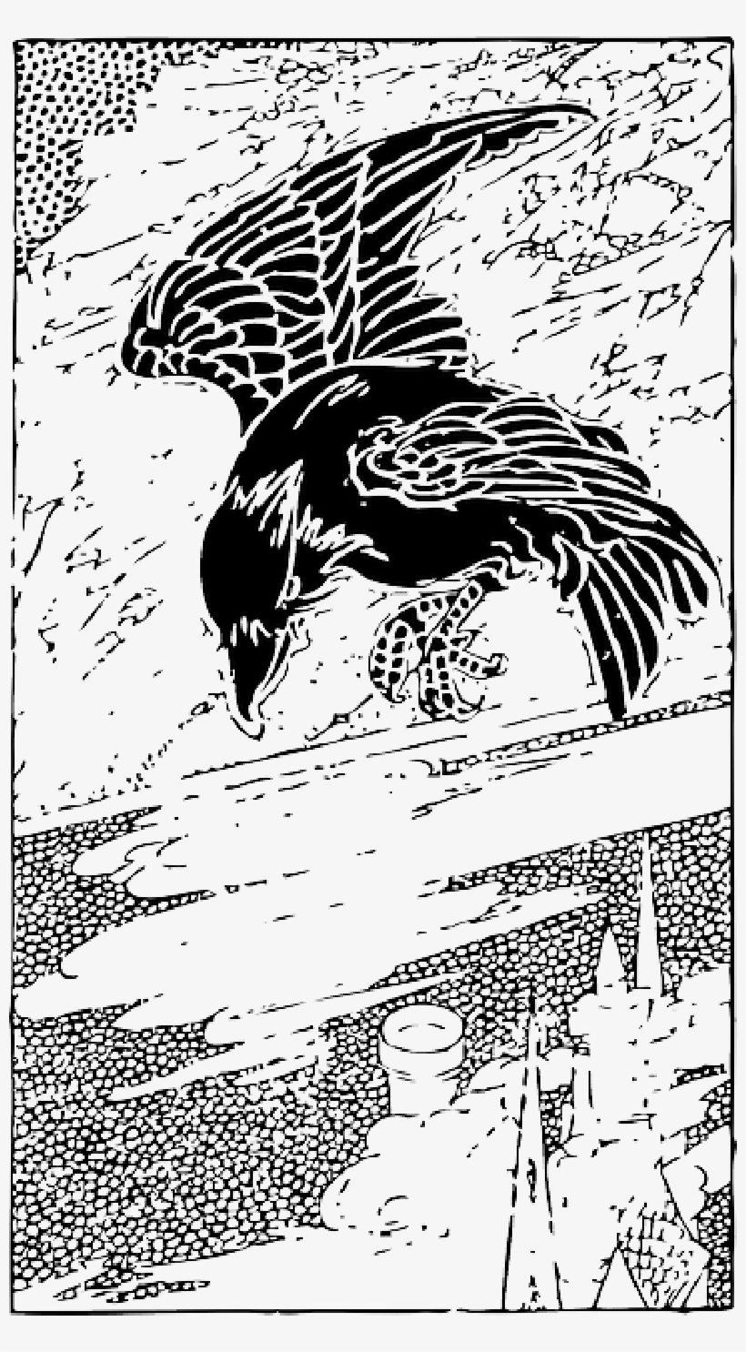 Mb Image/png - Raven Drawings, transparent png download